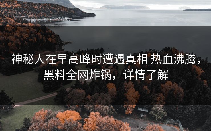 神秘人在早高峰时遭遇真相 热血沸腾，黑料全网炸锅，详情了解