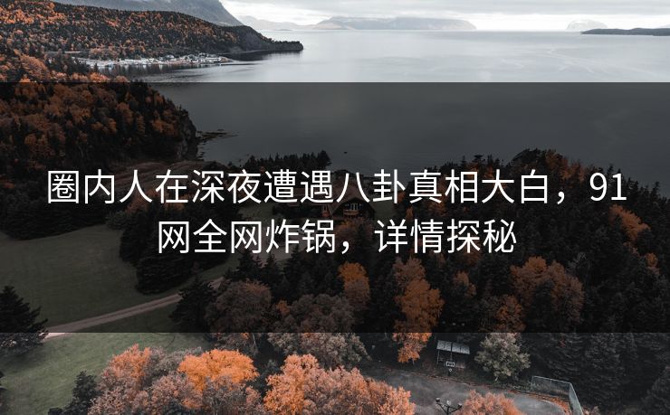 圈内人在深夜遭遇八卦真相大白,91网全网炸锅,详情探秘 圈内人在深夜遭遇八卦真相大白,91网全网炸锅,详情探秘