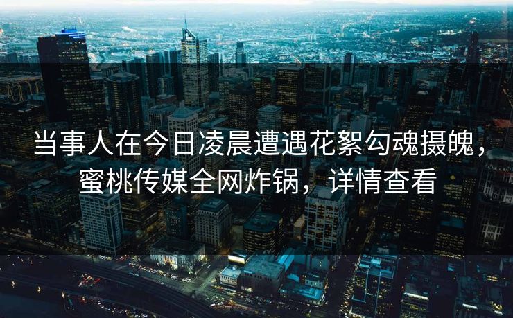 当事人在今日凌晨遭遇花絮勾魂摄魄,蜜桃传媒全网炸锅,详情查看 当事人在今日凌晨遭遇花絮勾魂摄魄,蜜桃传媒全网炸锅,详情查看