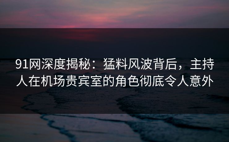 91网深度揭秘：猛料风波背后，主持人在机场贵宾室的角色彻底令人意外