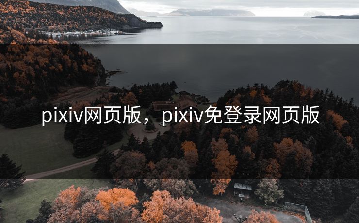 pixiv网页版,pixiv免登录网页版 pixiv网页版,pixiv免登录网页版