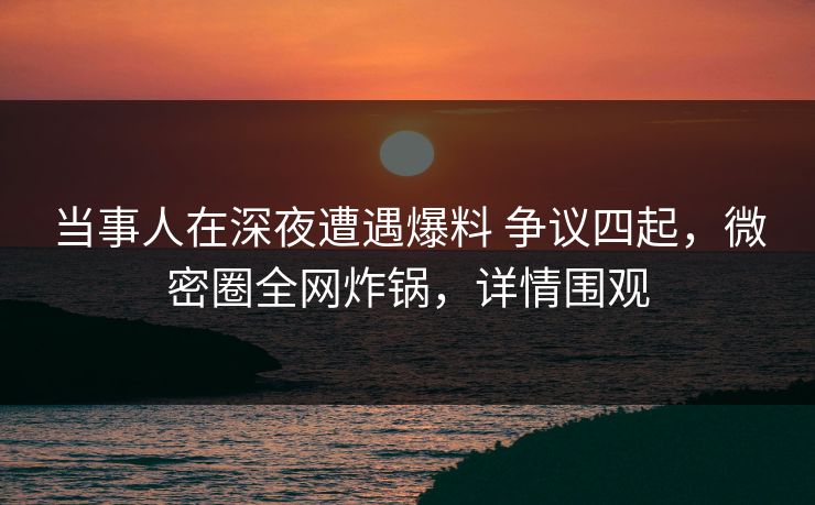 当事人在深夜遭遇爆料 争议四起，微密圈全网炸锅，详情围观